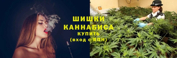 дмт Приозерск