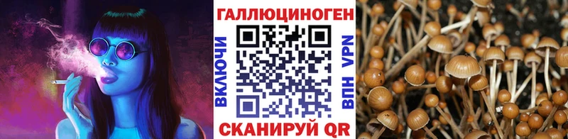Галлюциногенные грибы Psilocybe где купить Облучье
